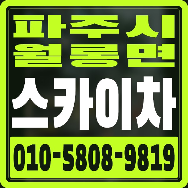 경기 파주시 월롱면 스카이차 · 010-5808-9819
