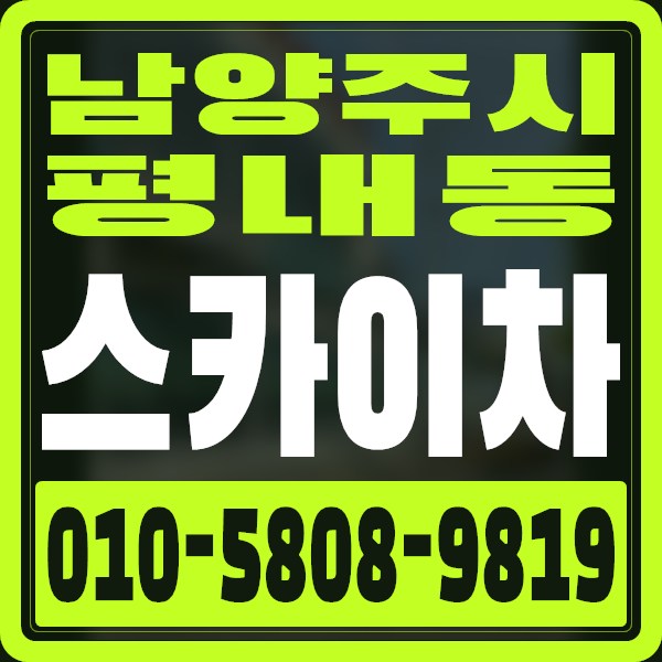 경기 남양주시 평내동 스카이차 · 010-5808-9819