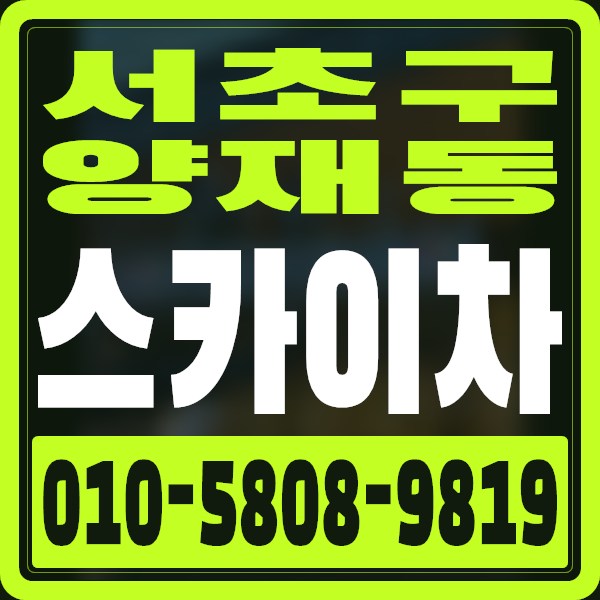 서울 서초구 양재동 스카이차 · 010-5808-9819