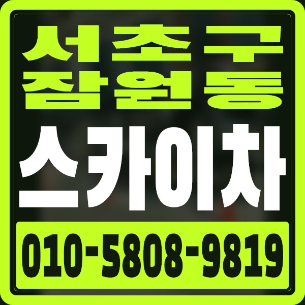 서울 서초구 잠원동 스카이차 · 010-5808-9819