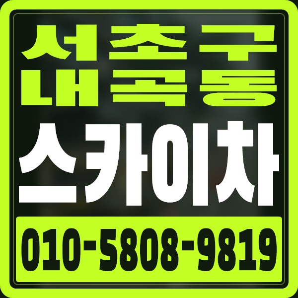 서울 서초구 내곡동 스카이차 · 010-5808-9819