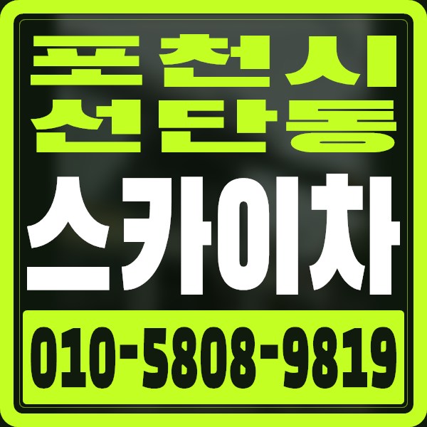 경기 포천시 선단동 스카이차 · 010-5808-9819