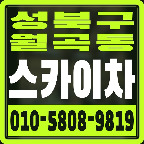 서울 성북구 월곡동 스카이차 · 010-5808-9819
