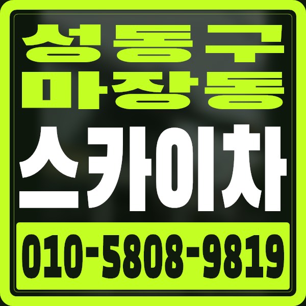 서울 성동구 마장동 스카이차 · 010-5808-9819