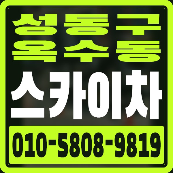 서울 성동구 옥수동 스카이차 · 010-5808-9819