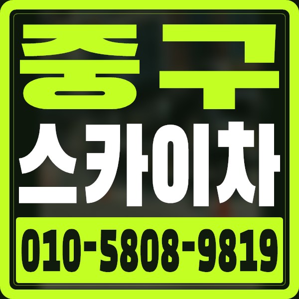 서울 중구 스카이차 · 010-5808-9819