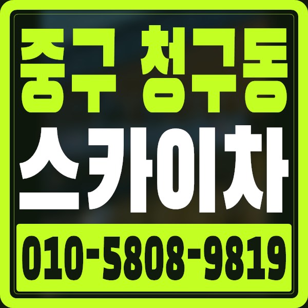 서울 중구 청구동 스카이차 · 010-5808-9819