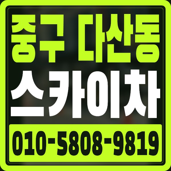 서울 중구 다산동 스카이차 · 010-5808-9819
