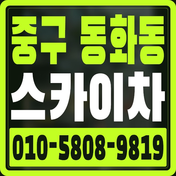 서울 중구 동화동 스카이차 · 010-5808-9819