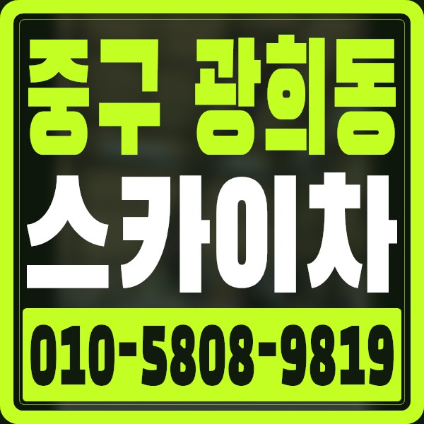 서울 중구 광희동 스카이차 · 010-5808-9819