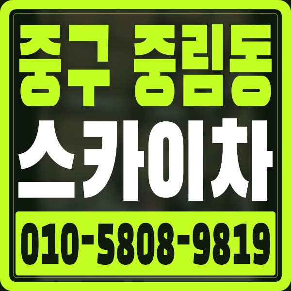 서울 중구 중림동 스카이차 · 010-5808-9819