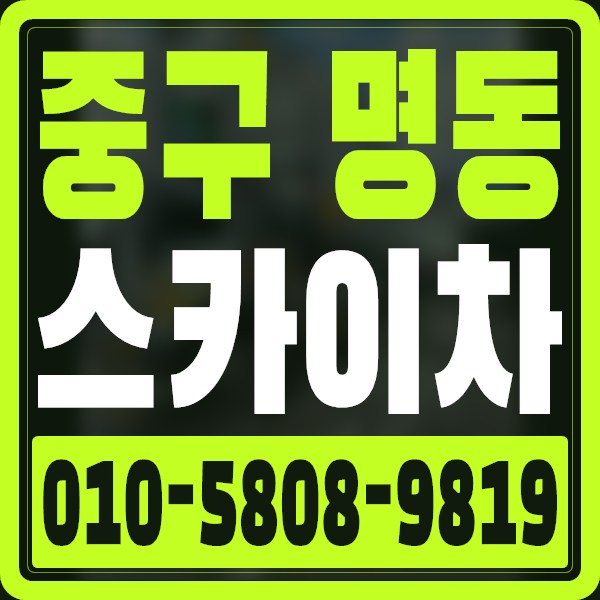서울 중구 명동 스카이차 · 010-5808-9819