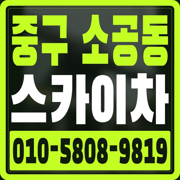 서울 중구 소공동 스카이차 · 010-5808-9819