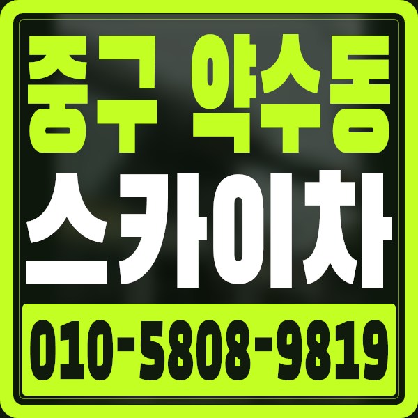 서울 중구 약수동 스카이차 · 010-5808-9819