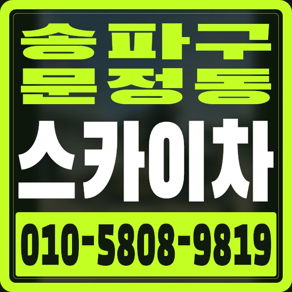 서울 송파구 문정동 스카이차 · 010-5808-9819