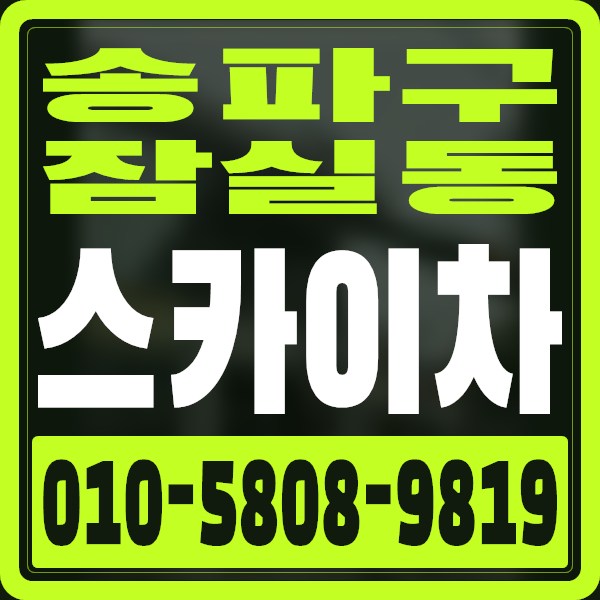 서울 송파구 잠실동 스카이차 · 010-5808-9819