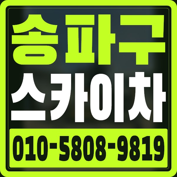서울 송파구 스카이차 · 010-5808-9819
