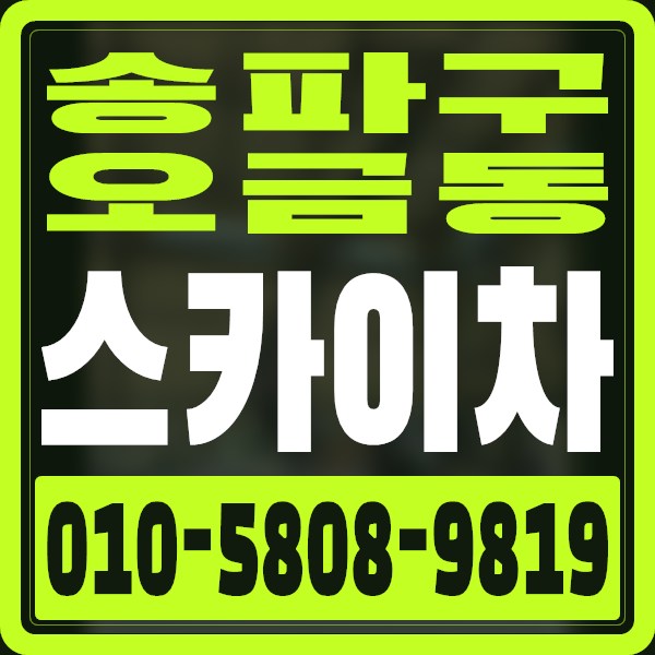 서울 송파구 오금동 스카이차 · 010-5808-9819