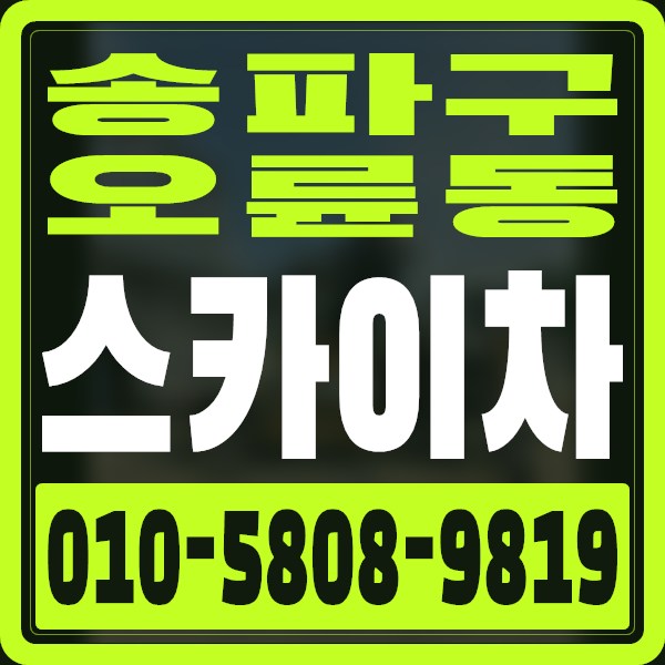 서울 송파구 오륜동 스카이차 · 010-5808-9819