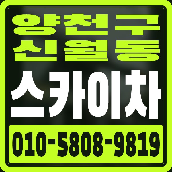 서울 양천구 신월동 스카이차 · 010-5808-9819