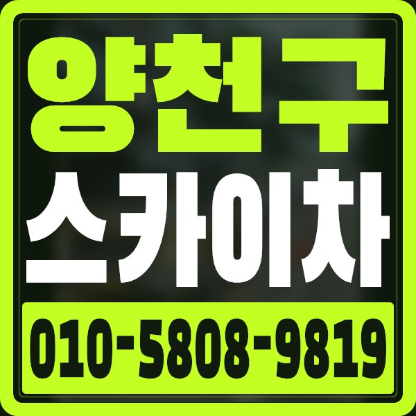 서울 양천구 스카이차 · 010-5808-9819