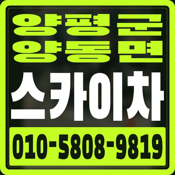 경기 양평군 양동면 스카이차 · 010-5808-9819