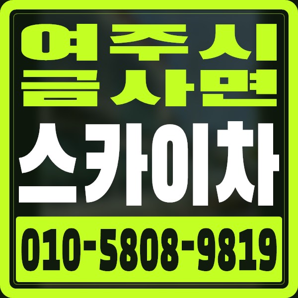 경기 여주시 금사면 스카이차 · 010-5808-9819