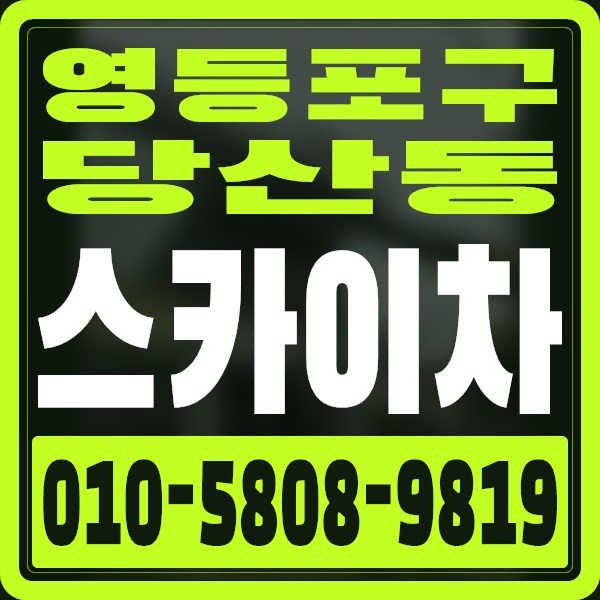 서울 영등포구 당산동 스카이차 · 010-5808-9819