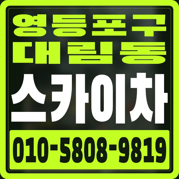 서울 영등포구 대림동 스카이차 · 010-5808-9819
