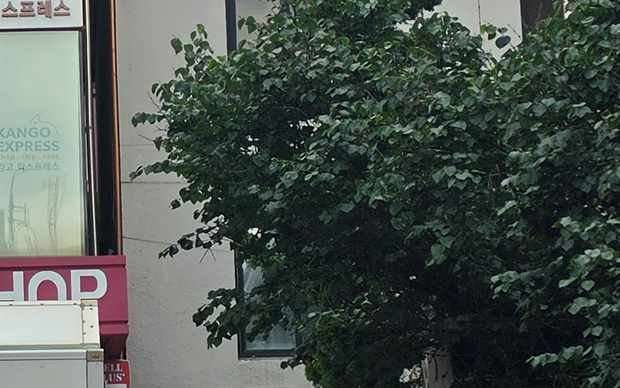 경기 고양시 일산서구 대화동 스카이차 작업 상담 이미지