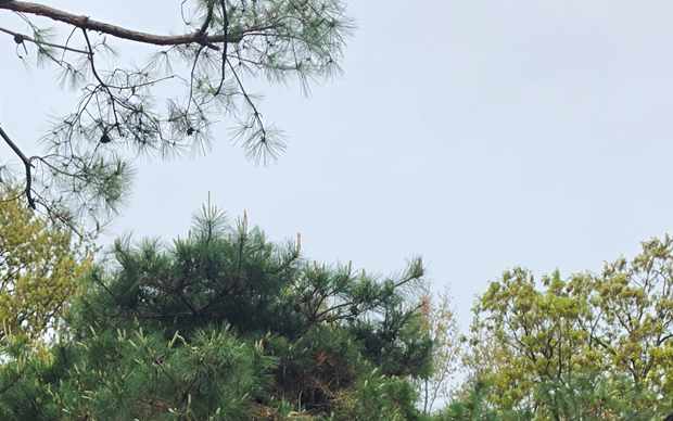 서울 광진구 스카이차 작업 상담 이미지