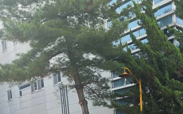 경기 화성시 만세구 양감면 스카이차 작업 상담 이미지