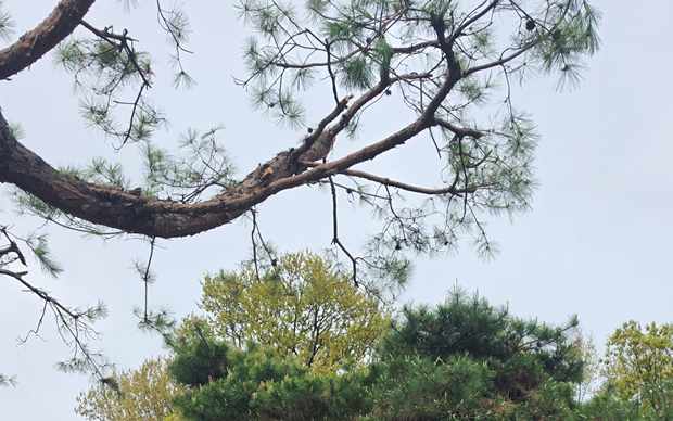 인천 계양구 계산2동 스카이차 작업 상담 이미지