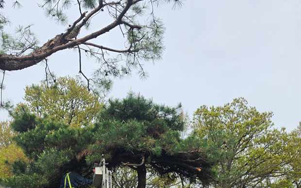 쌍문1동 스카이차 상담용 현장 작업 이미지