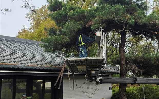 경기 수원시 권선구 권선1동 스카이차 작업 상담 이미지