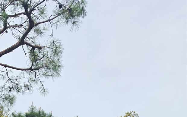 경기 용인시 수지구 죽전2동 스카이차 작업 상담 이미지