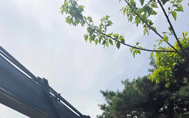 수목 상부 작업 반경을 보여주는 스카이차 상담용 이미지
